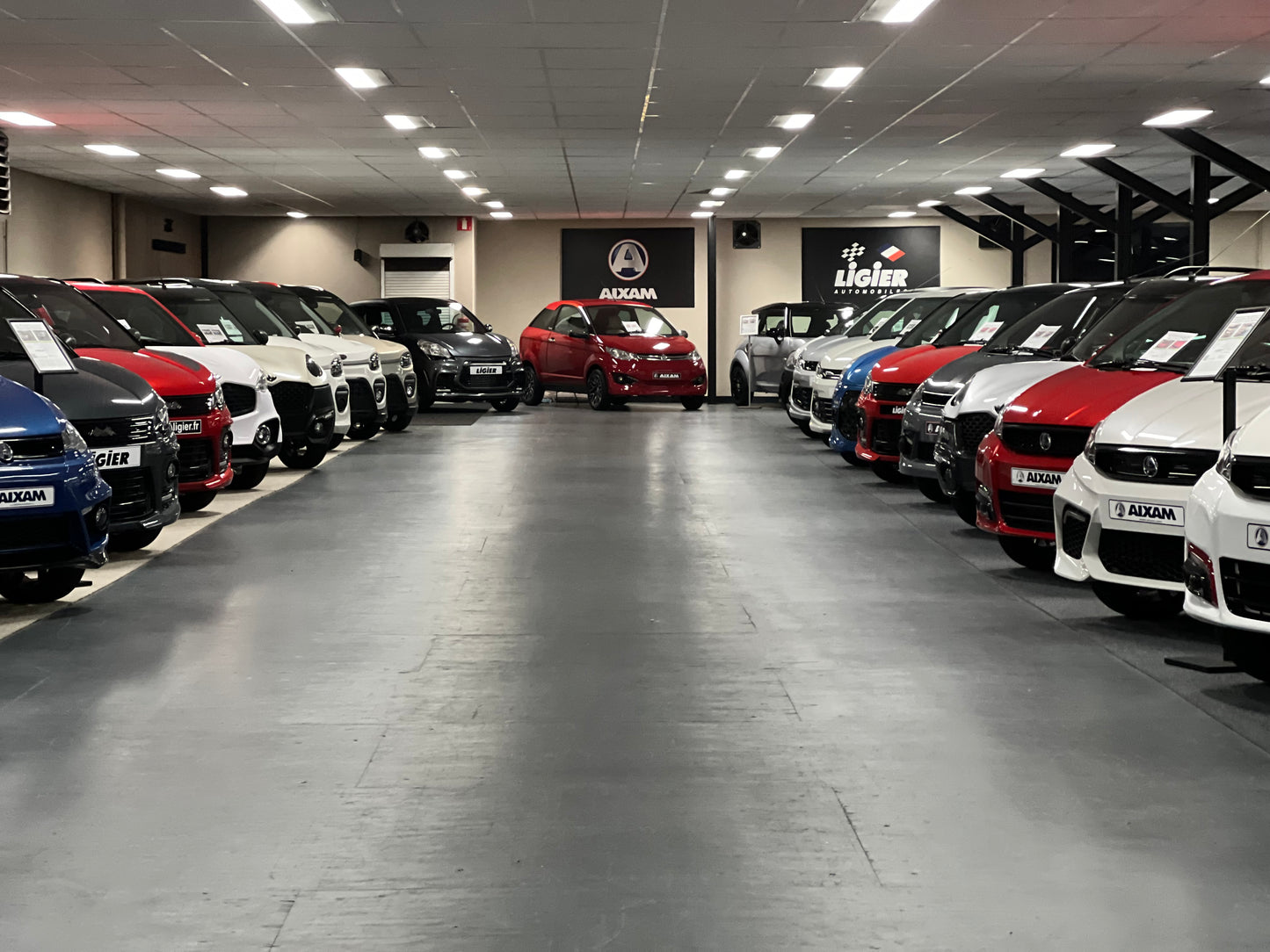 Aixam GTI Sport Matt Grau | Rückfahrkamera | 45 km/h | Innerhalb 250 KM Kostenlose Lieferung | Mopedauto | Leichtmobile | Aixam | Microcar | Ligier