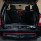 Ligier JS50 Sport | leiser DCI Motor | 45 km/h | Innerhalb 250 KM Kostenlose Lieferung | Mopedauto | Leichtmobile