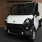 Aixam D-Truck Kastenwagen | 8 PS Motor | 45 km/h | Innerhalb 250 KM Kostenlose Lieferung | Mopedauto | Leichtmobile