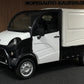 Aixam D-Truck Kastenwagen | 8 PS Motor | 45 km/h | Innerhalb 250 KM Kostenlose Lieferung | Mopedauto | Leichtmobile