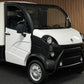 Aixam D-Truck Kastenwagen | 8 PS Motor | 45 km/h | Innerhalb 250 KM Kostenlose Lieferung | Mopedauto | Leichtmobile