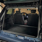 Ligier JS50 Blueline | Gepflegt | leiser DCI Motor | 45 km/h | Innerhalb 250 KM Kostenlose Lieferung | Mopedauto | Leichtmobile