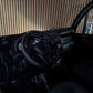 Aixam D-truck Kastenwagen 2023 | 8 PS Motor | 45 km/h | Innerhalb 250 KM Kostenlose Lieferung | Mopedauto | Leichtmobile